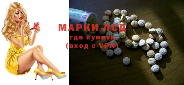 ПСИЛОЦИБИНОВЫЕ ГРИБЫ Магас