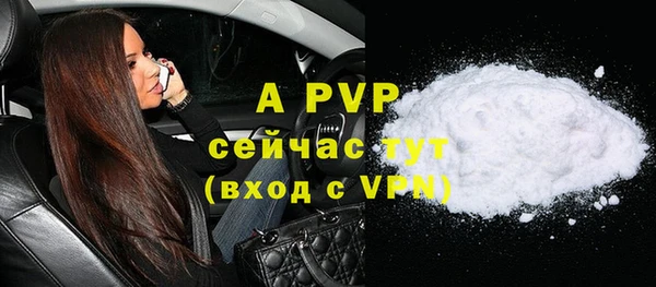 ПСИЛОЦИБИНОВЫЕ ГРИБЫ Магас