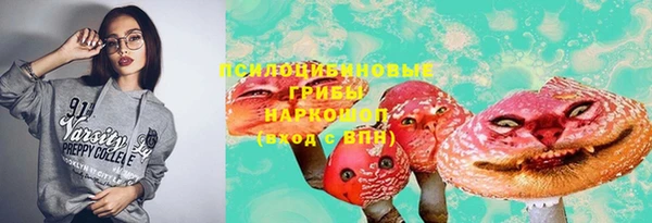 ПСИЛОЦИБИНОВЫЕ ГРИБЫ Магас