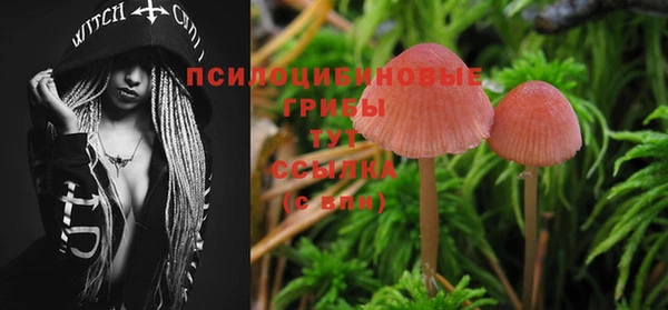 ГАЛЛЮЦИНОГЕННЫЕ ГРИБЫ Магадан