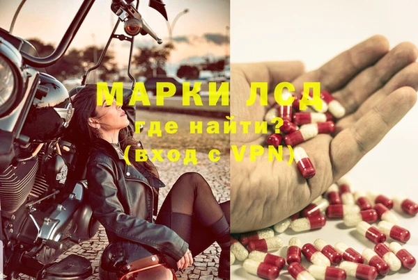 ПСИЛОЦИБИНОВЫЕ ГРИБЫ Магас